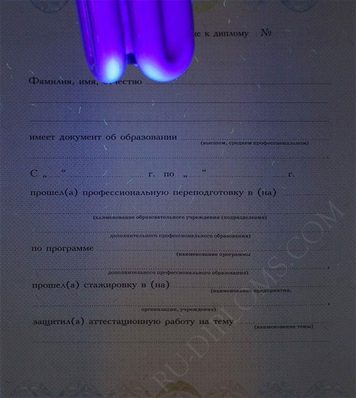 Диплом о переподготовке 2010 года 